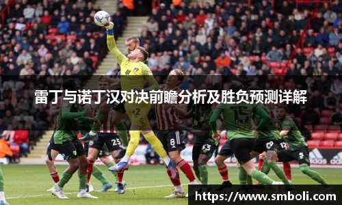 雷丁与诺丁汉对决前瞻分析及胜负预测详解